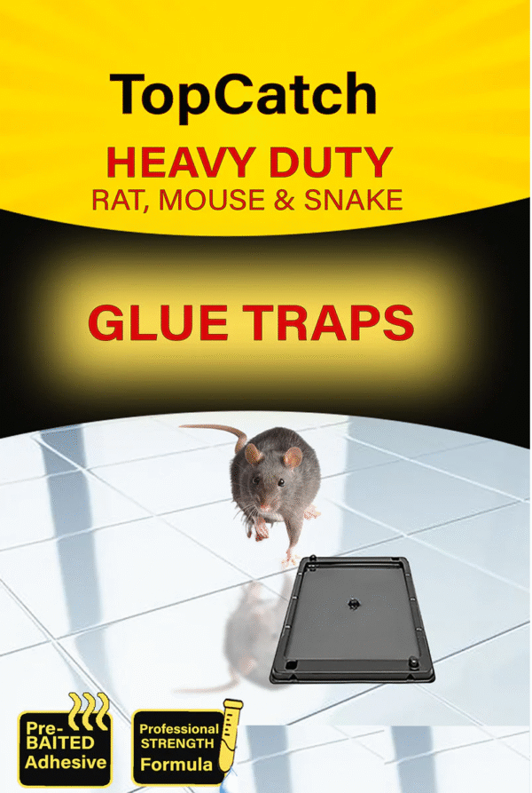 Heavy Duty Rat, Mouse & Snake Glue Traps 2 No.s 1 Packs. Efficient Pest Sticky Board, Non-Toxic Indoor Sticky Mouse Trap for Restaurant/Kitchen/Hotel/Office/House